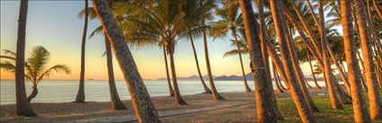 Palm Cove - QLD (PBH4 00 14921)